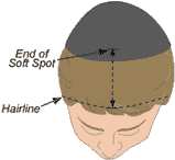 Proper head tefillin placement