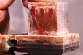 Tefillin batim (leather housings)