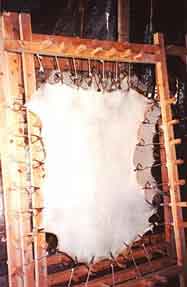 Stretching of parchment for Torahs, tefillin, mezuzahs and megillahs