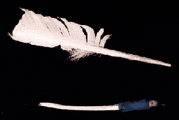 Sofer's quill for writing Torah and megillah scrolls, tefillin and mezuzahs